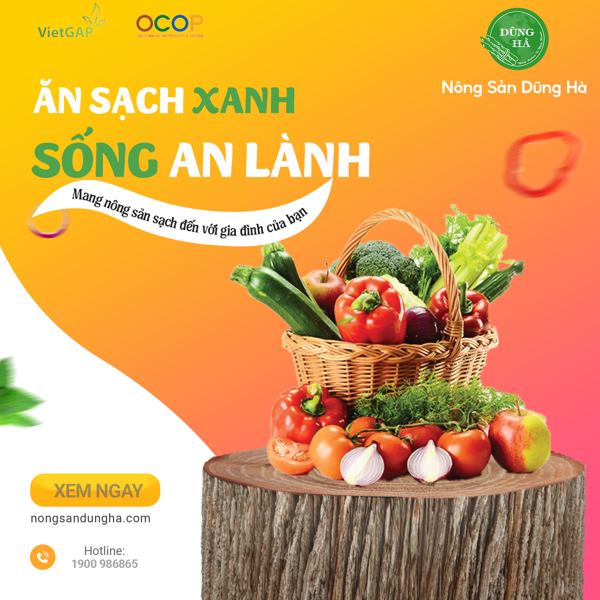 Hoa Quả Sạch Nông sản Dũng Hà – Đảm Bảo Chất Lượng Mỗi Ngày