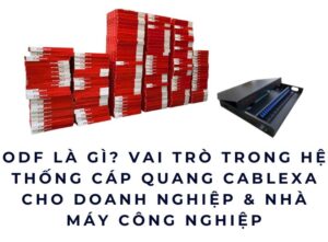 ODF là gì? Vai trò trong hệ thống cáp quang Cablexa cho doanh nghiệp & nhà máy công nghiệp